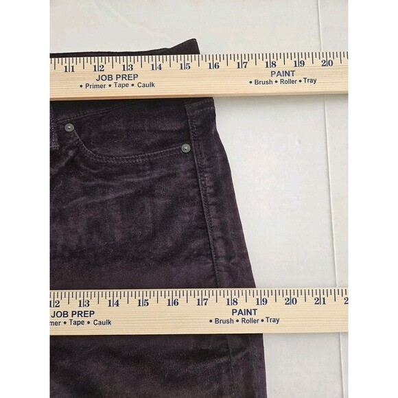 HUDSON Nico Midrise Skinny Purple Ombre Velvet Cropped Ankle Pants Sz 30 Stretch - Picture 3 of 9